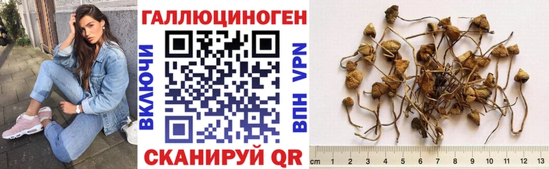 Галлюциногенные грибы Cubensis  Вытегра 